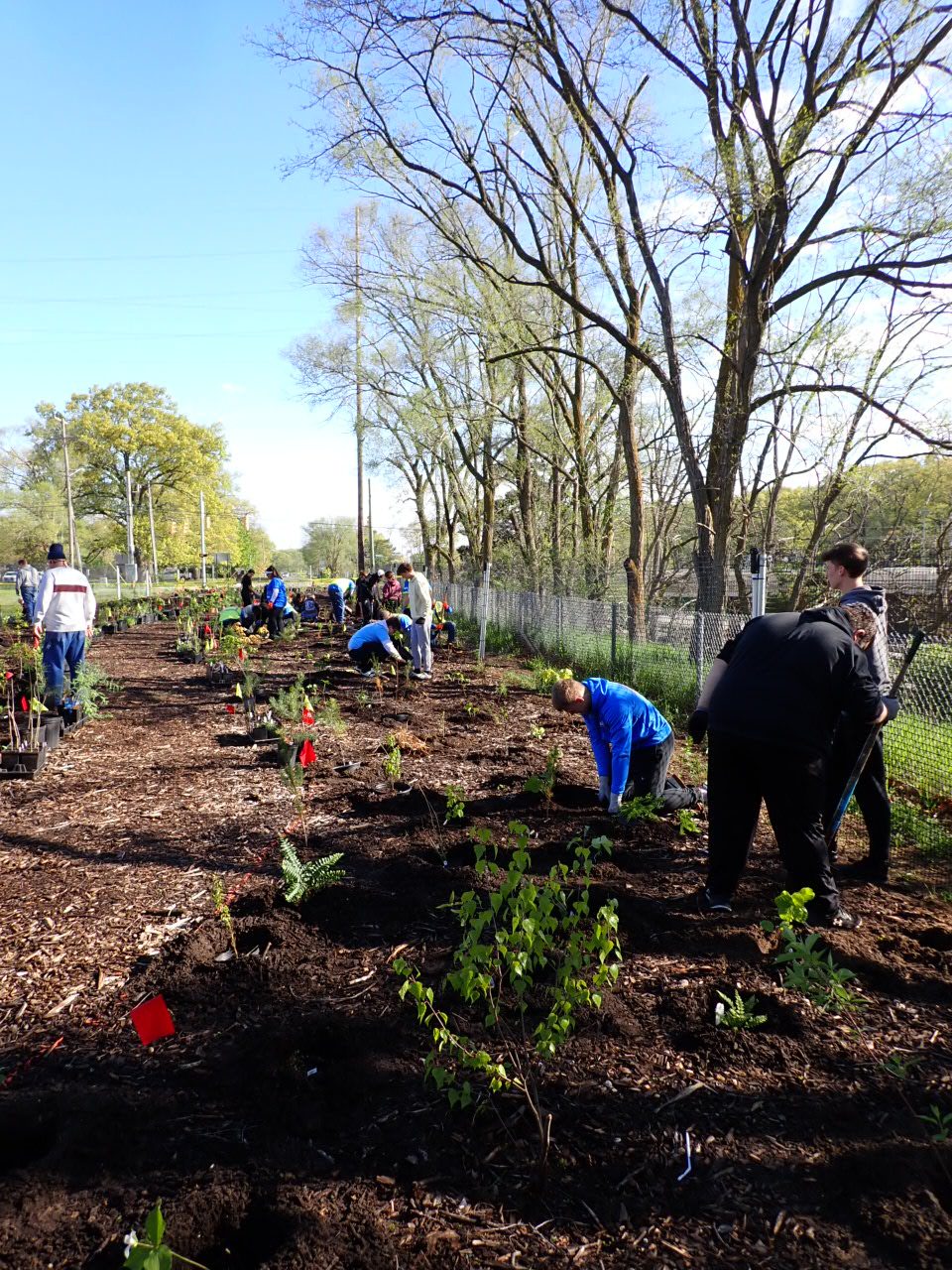 Volunteers implementing the micro forest